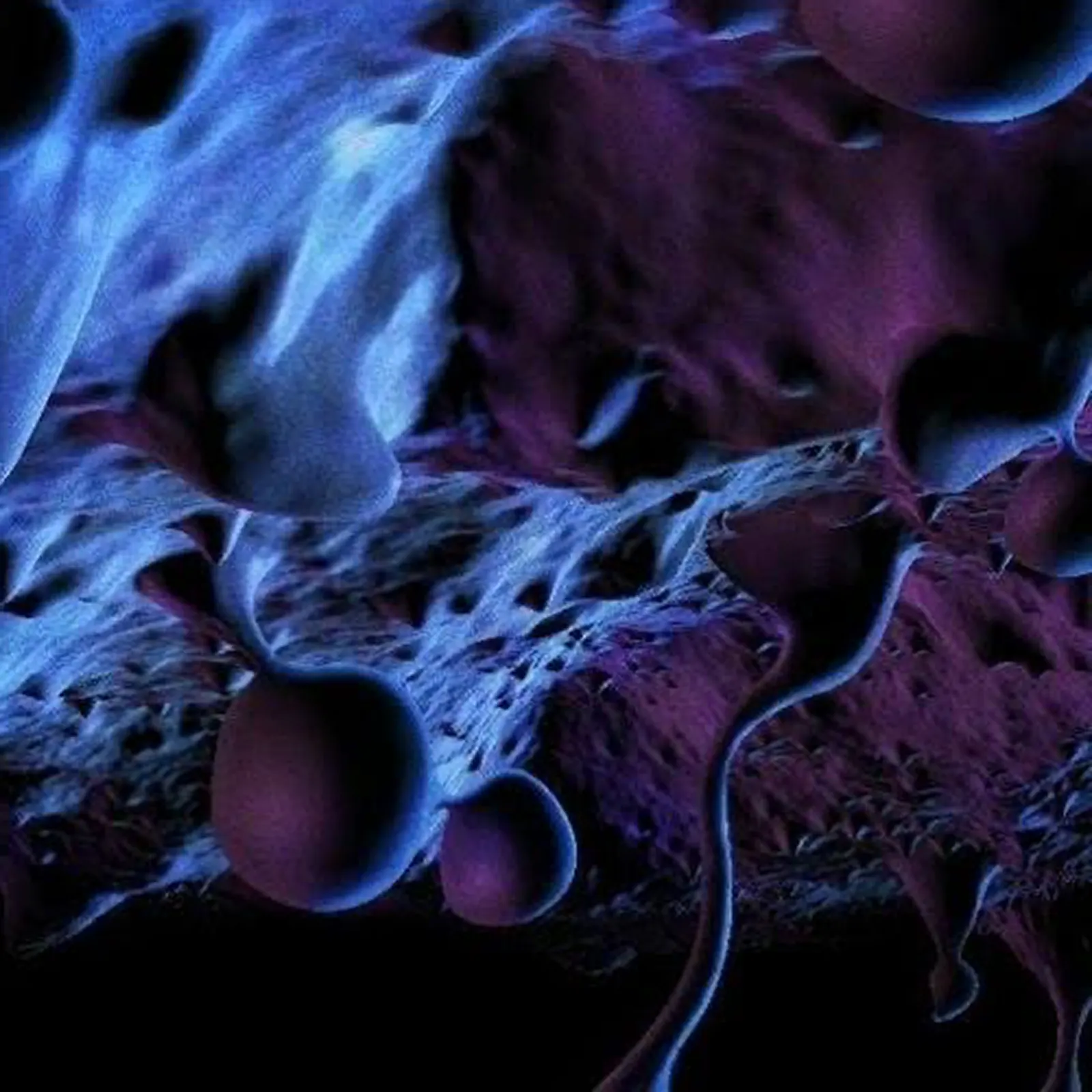 Abstract rendering of higher-dimensional structure in blue and violet.